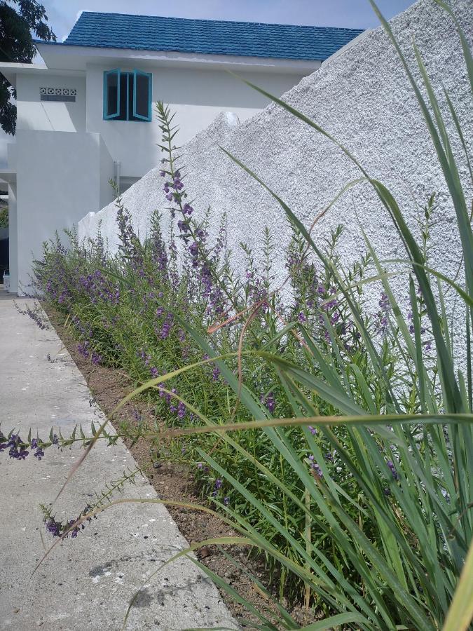 Anjo Maumere Hotel & Restaurant 외부 사진